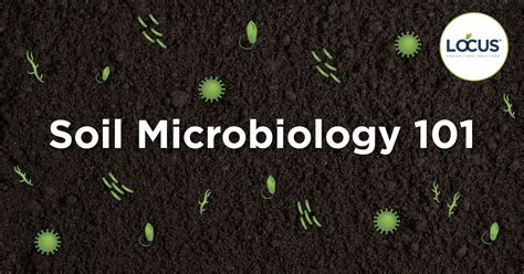 What are Soil Microbes? And Why Do They Matter in Agriculture? | Locus Agricultural Solutions