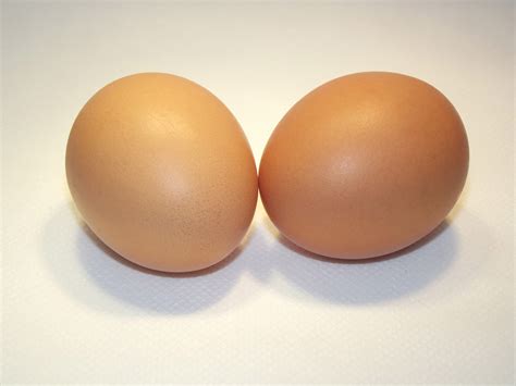 2 Eggs In Shell Free Stock Photo - Public Domain Pictures