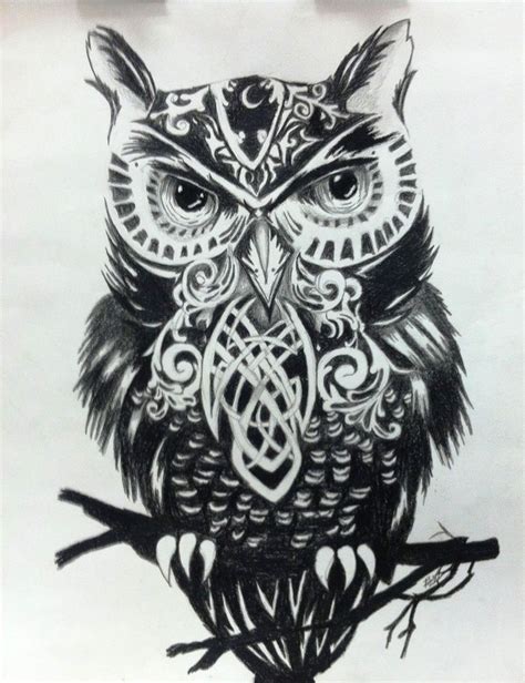 Free Black And White Owl Images, Download Free Clip Art, Free Clip Art on Clipart Library