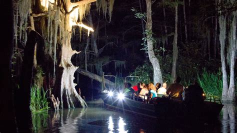 New Orleans Night Swamp Tour (With Transportation)