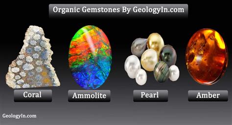 What Are Organic Gemstones? - Geology In