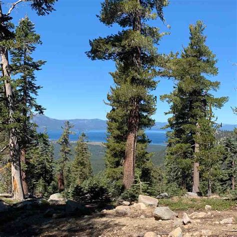 High Meadows Hike Trail - South Lake Tahoe, California, USA | Pacer