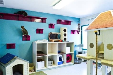 18 Amazing Cat Room Designs For Your Inspiration | Cat play rooms, Cat room, Animal room