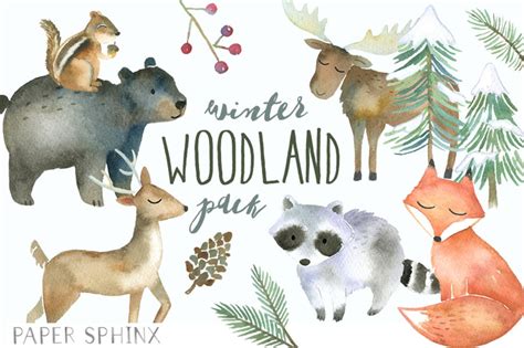 Winter Woodland Animals Clipart Watercolor Forest Animals Winter Fox, Moose, Bear, Raccoon ...