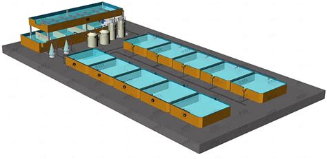 Ras System Indoor Fish Shrimp Farming Equipment Recirculating Aquaculture System - Buy Fish ...