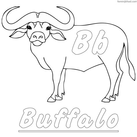 Free Buffalo Coloring Pages PDF To Print - Coloringfolder.com ...