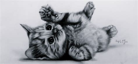 Cute Kitten Sketch at PaintingValley.com | Explore collection of Cute ...