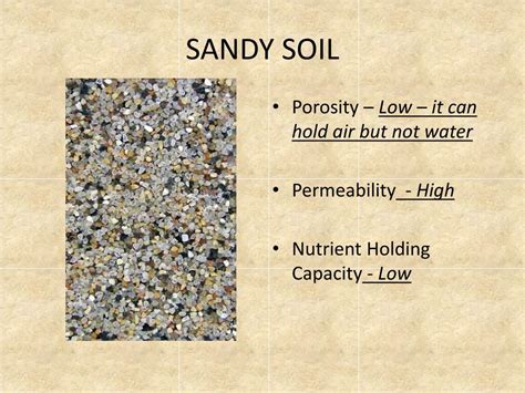 PPT - SOIL PowerPoint Presentation, free download - ID:1538958