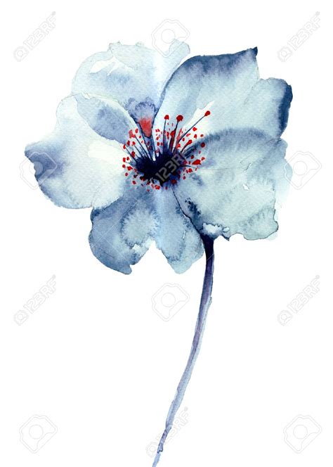 Fleur bleue décoratifs, illustration d'aquarelle Banque d'images ...