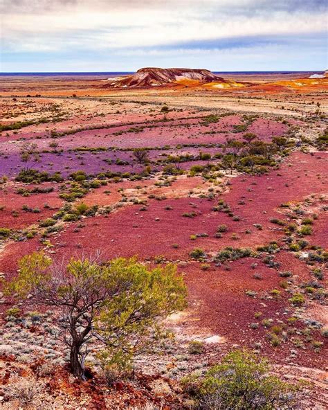 The painted desert - cooper peaty | Australie voyage, Australie ...