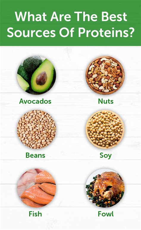 Here are some of the Best Sources of Proteins | Healthy nutrition, Good ...