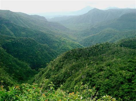 Black River Gorges National Park - Alchetron, the free social encyclopedia