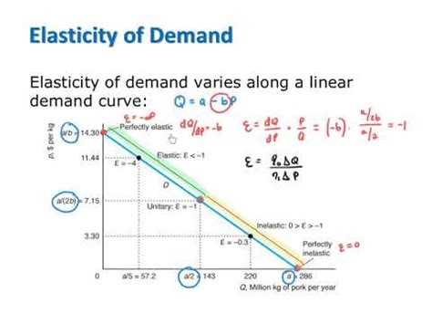 Elasticity along Linear Demand - YouTube