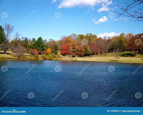 Fall Colors on the Lake stock photo. Image of path, green - 1436834