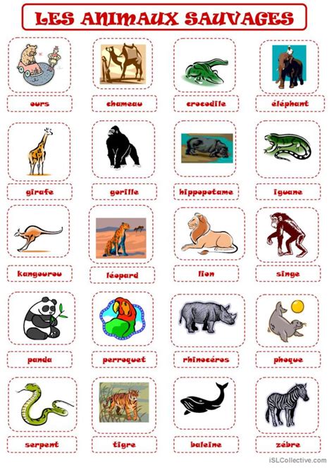 ANIMAUX SAUVAGES dictionnaire visuel…: English ESL worksheets pdf & doc