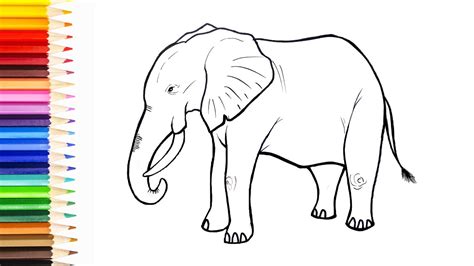 How to draw an elephant - simple drawing practice for kids and ...