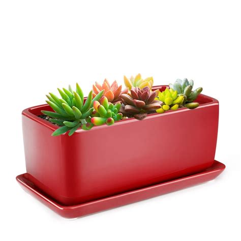 10 Inch Rectangular Ceramic Succulent Planter Pot - Cactus Herb Flower Container Window Box ...