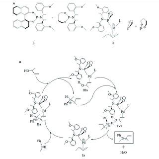 | (A) The structure of phosphoramidite ligand (L ′ ). (B) The overall ...