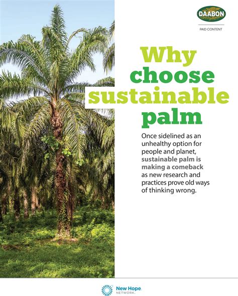 Why Choose Sustainable Palm Oil