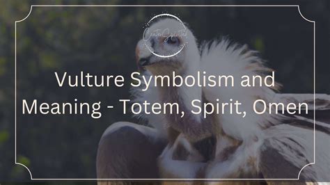 Vulture Symbolism and Meaning - Totem, Spirit, Omen