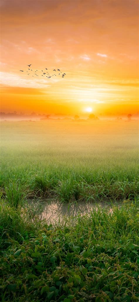 Nature Sun Rise Wallpaper