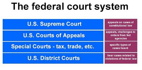 The Structure of the State Court System