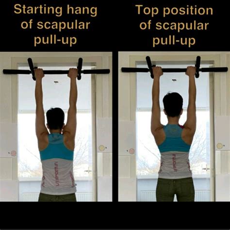 SCAPULAR PULLUPS by Kimberly C - Exercise How-to - Skimble