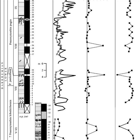 Paleomagnetic stratigraphy of Lower Barremian and Middle Aptian rocks... | Download Scientific ...