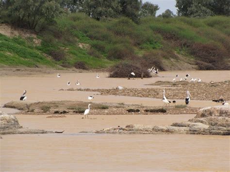 Old Diamantina River Crossing QLD @ ExplorOz Places