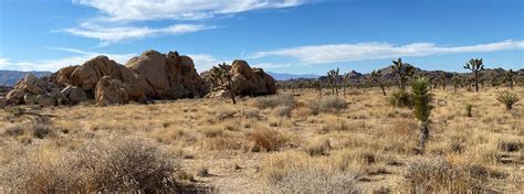 Joshua Tree Hiking Trails