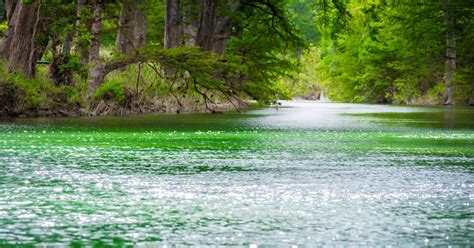 Canoe or Kayak the Medina River, Medina, Texas