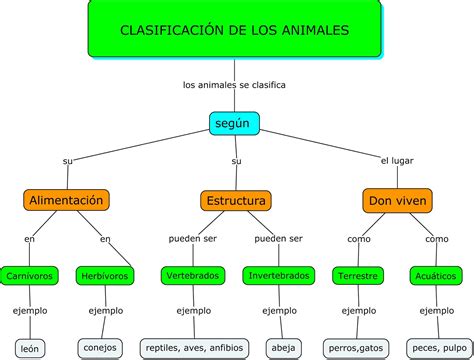 Mapa Conceptual de Los Animales | Mapas Conceptuales