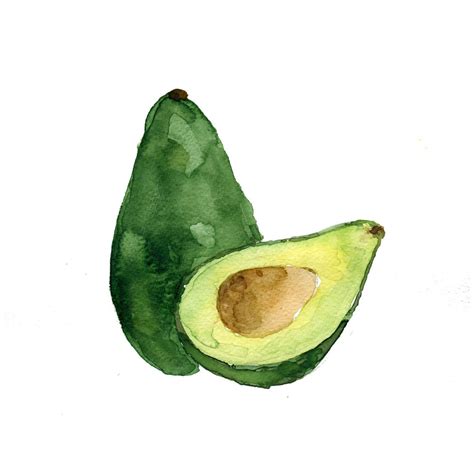 Avocado study number three art print of original watercolor painting, Avocado green, Botanical ...
