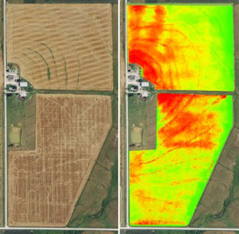 Discover NDVI and Its Valuable Uses in Agriculture - Botlink