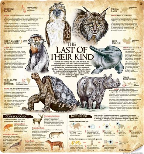 just the facts - endangered animals