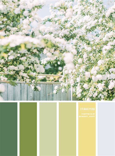 Yellow Green Color Palette