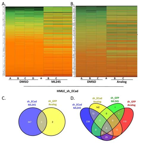 Differential Vs Temporal Gene Expression at Susan Conyers blog