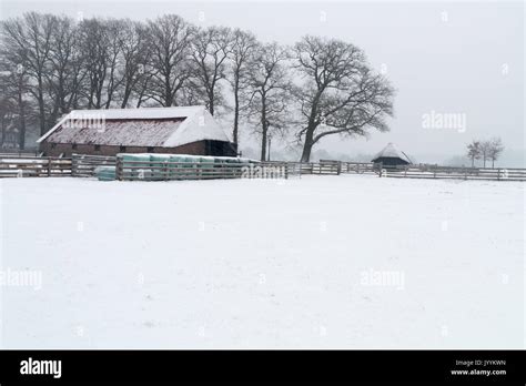 Winter in the Netherlands Stock Photo - Alamy