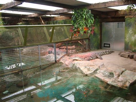 Pin by Anton Acuña on Caiman | Reptile habitat, Animal sanctuary, Zoo animals