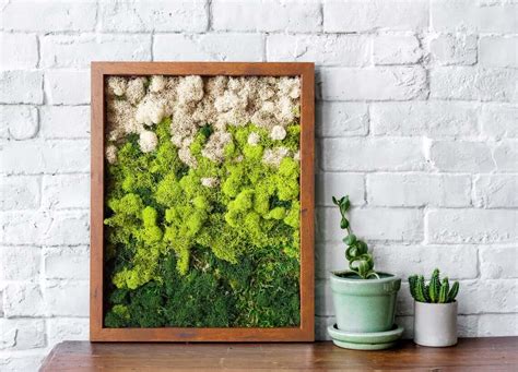 Preserved Terrarium Moss Wall Decor — Homebnc