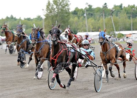 Maine’s harness racing season to open at Scarborough Downs — Sports ...