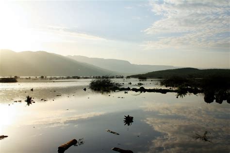 Lake Bogoria Sights & Attractions - Project Expedition