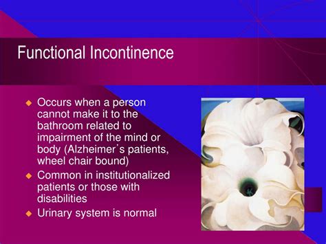 PPT - Urinary Incontinence: Diagnosis and Management PowerPoint Presentation - ID:6622939