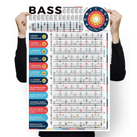 Buy Bass Scales Chart for Beginners, Master Bass Guitar Fretboard Notes ...