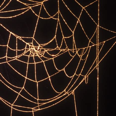 Golden Orb Spider Web By Jane Rainwater, ©2007, fine gold chain. | Spider art, Spider web ...