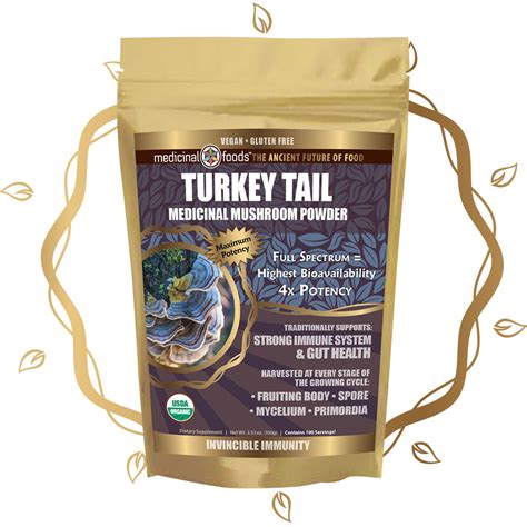 Turkey Tail Mushroom Powder - Organic Immunity Enhancer Superfood