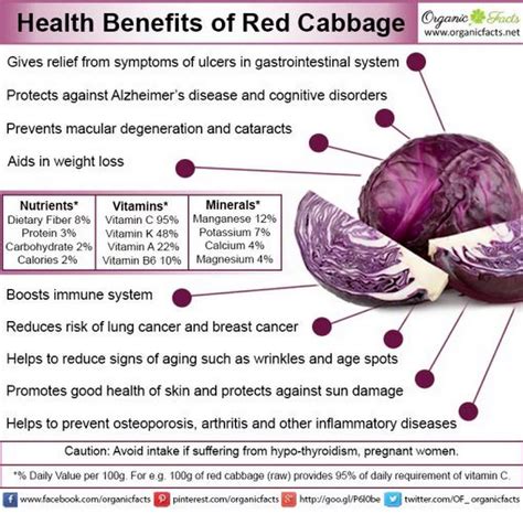 Sign in | Health benefits, Coconut health benefits, Cabbage