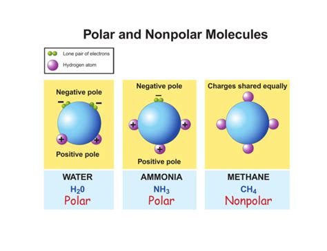 Polar and Nonpolar Molecules