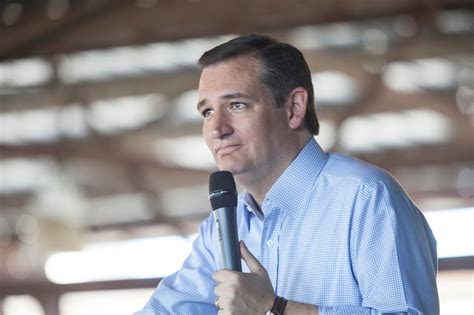 Ted Cruz Adds to Home-State Support as Texas Primary Nears | The Texas ...