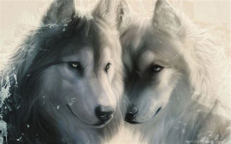 Love Wolf Wallpapers - Top Free Love Wolf Backgrounds - WallpaperAccess